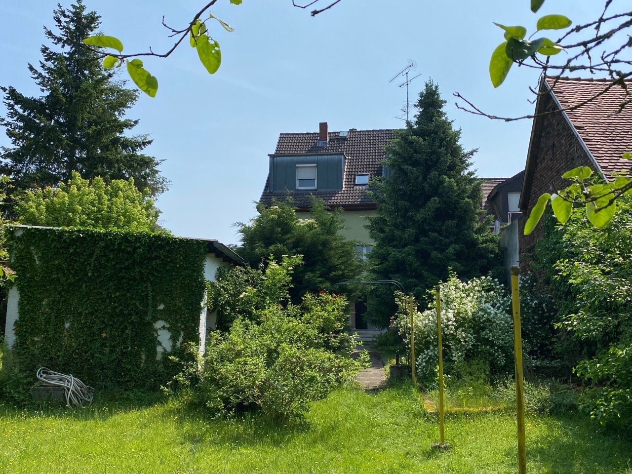 Gartenansicht Gartenansicht