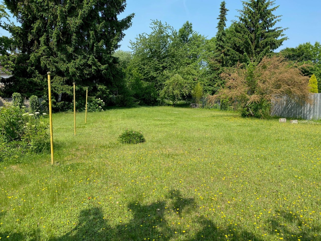 Garten Garten