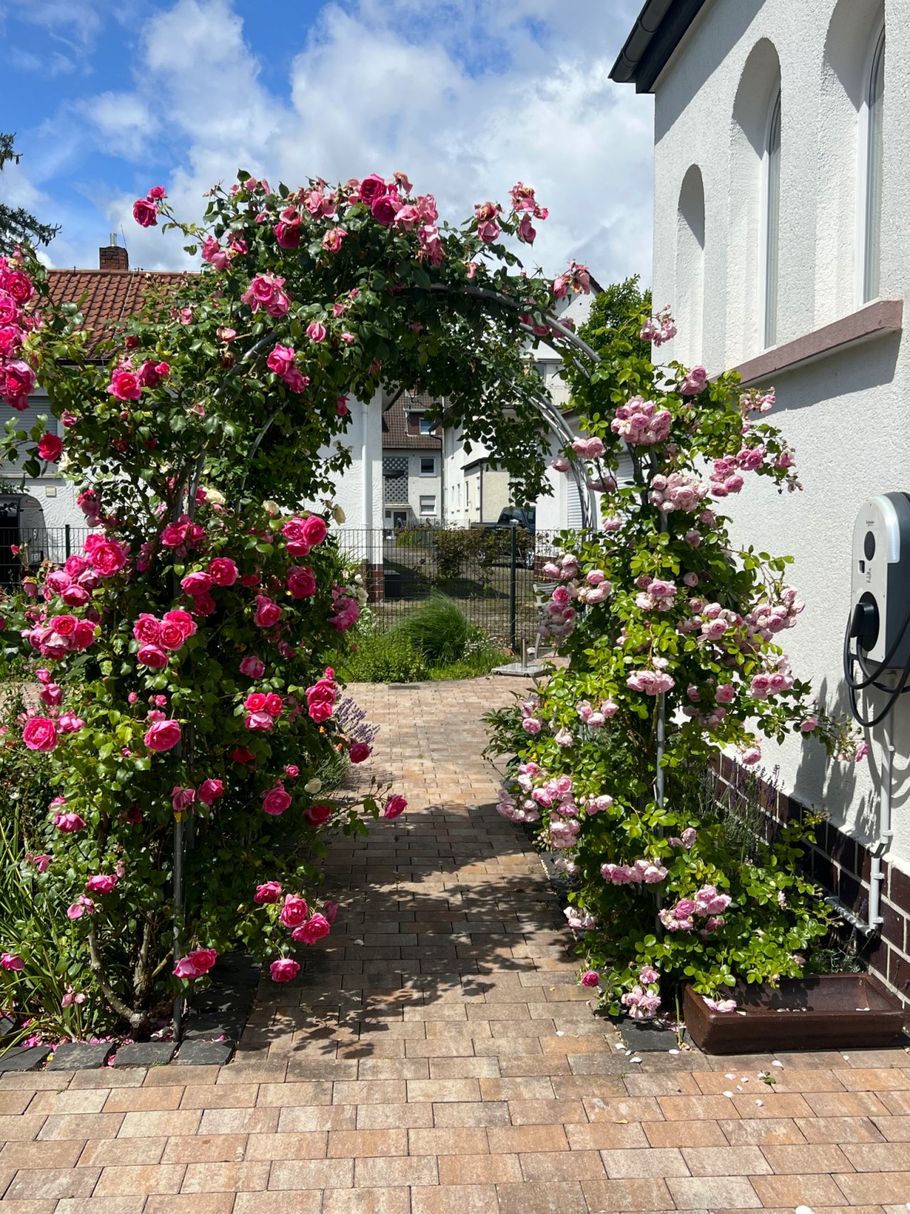 Rosenbogen Rosenbogen
