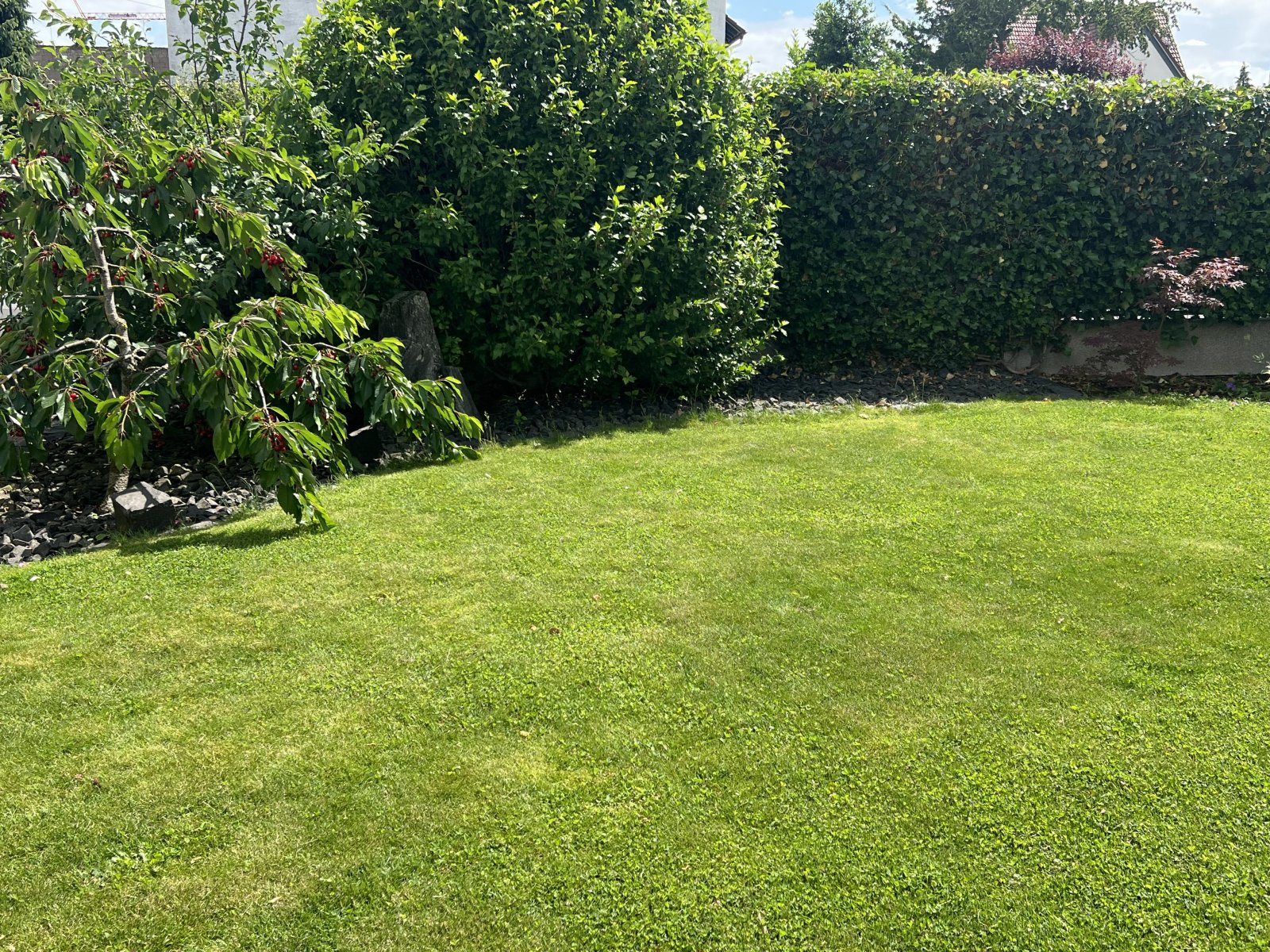 Garten Garten