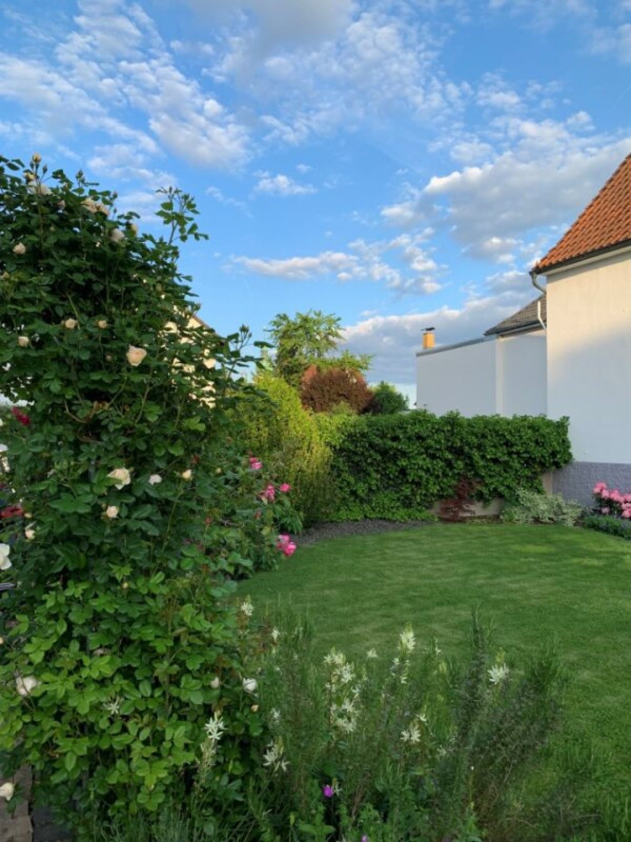 Blick in den Garten Blick in den Garten
