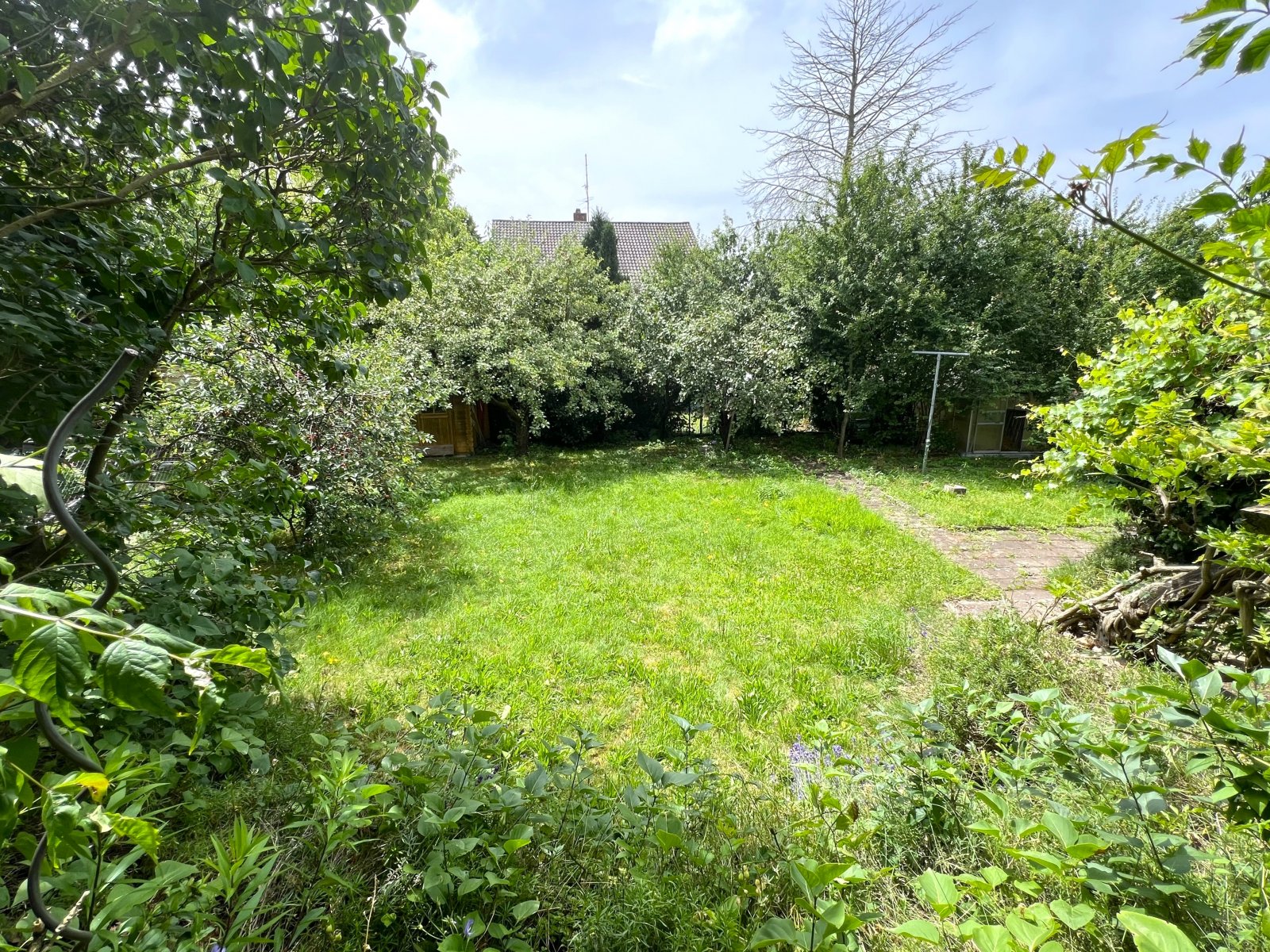 Blick in den Garten Blick in den Garten